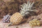 John Sherrin A Pineapple and Grapes on a mossy Bank (mk37) France oil painting artist